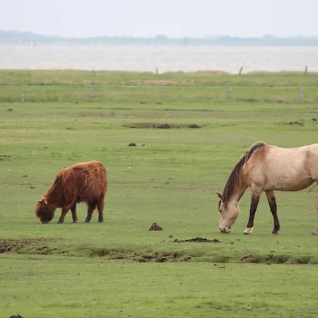 Lägenhet Seevilla Wietjes Whg 1 *