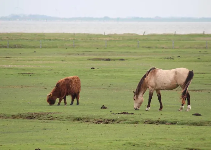 Apartament Seevilla Wietjes Whg 1 *